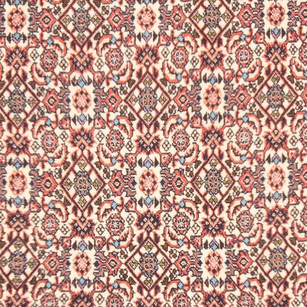 Persisk tæppe - Bijar - Royal - 153 x 86 cm - beige