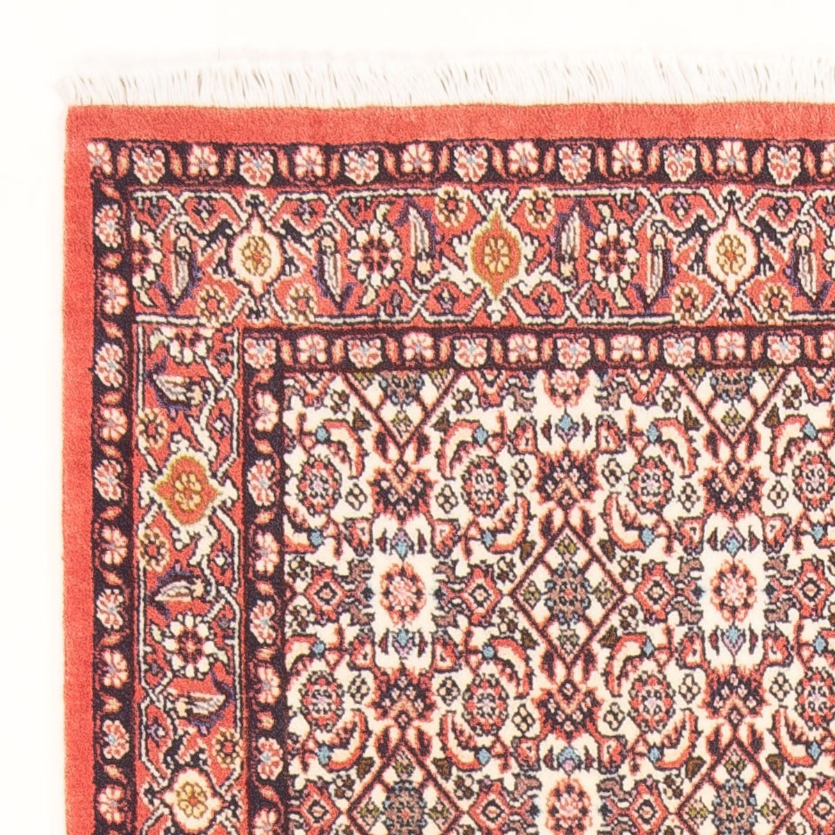 Persisk tæppe - Bijar - Royal - 153 x 86 cm - beige