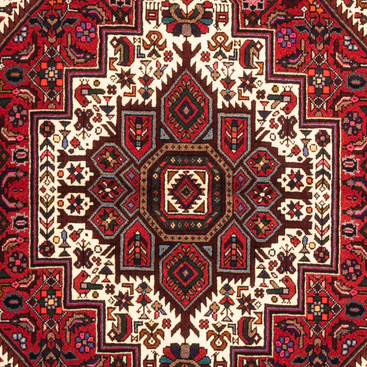 Persisk tæppe - Nomadisk - 152 x 100 cm - rød