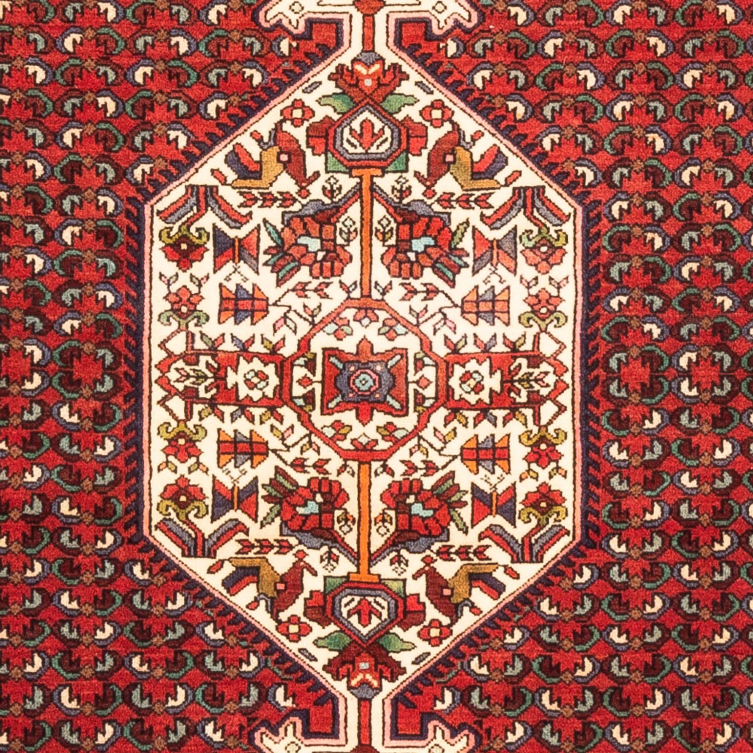 Persisk tæppe - Nomadisk - 170 x 108 cm - rød