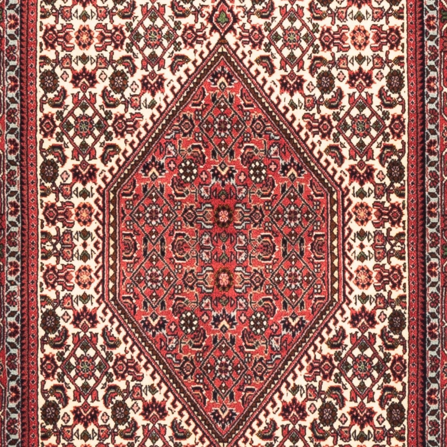 Løber Persisk tæppe - Bijar - Royal - 225 x 80 cm - creme