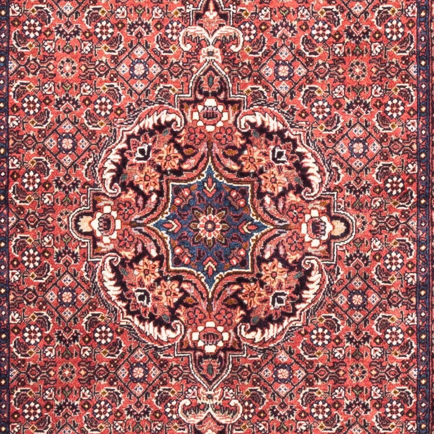 Løber Persisk tæppe - Bijar - 238 x 73 cm - rød