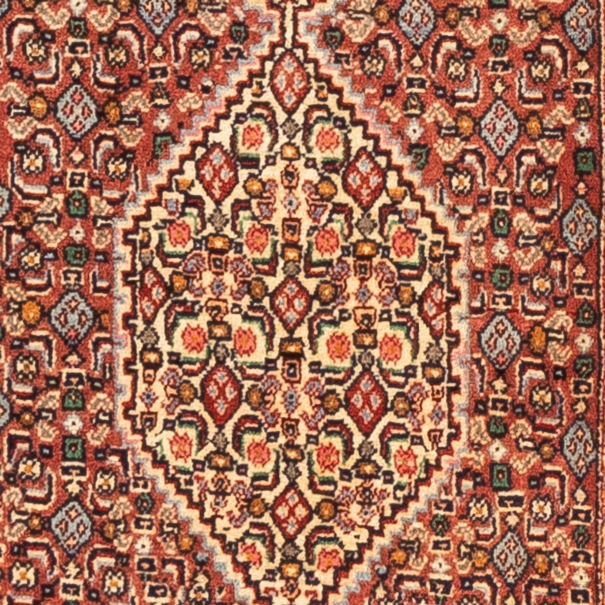 Løber Persisk tæppe - Classic - 252 x 52 cm - rød
