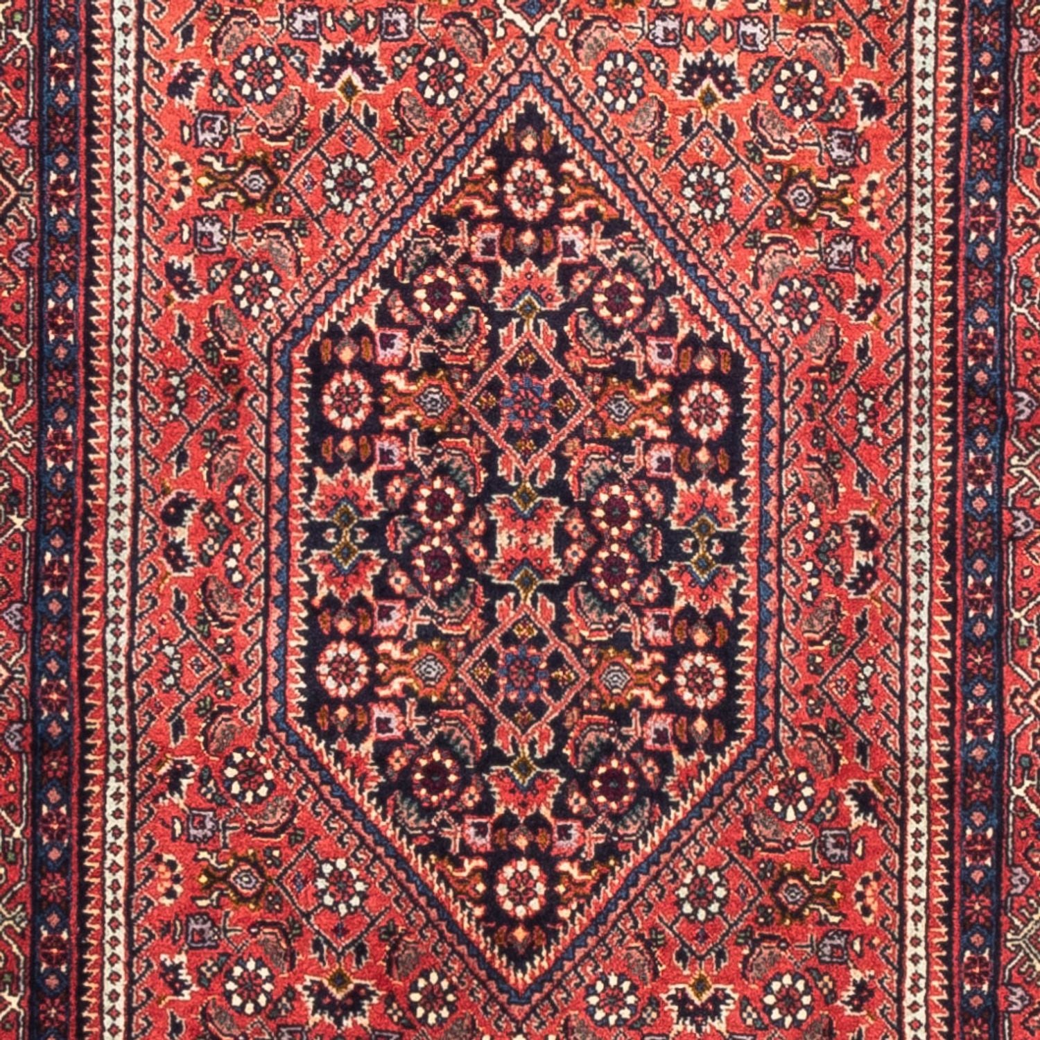 Løber Persisk tæppe - Bijar - 226 x 77 cm - rød