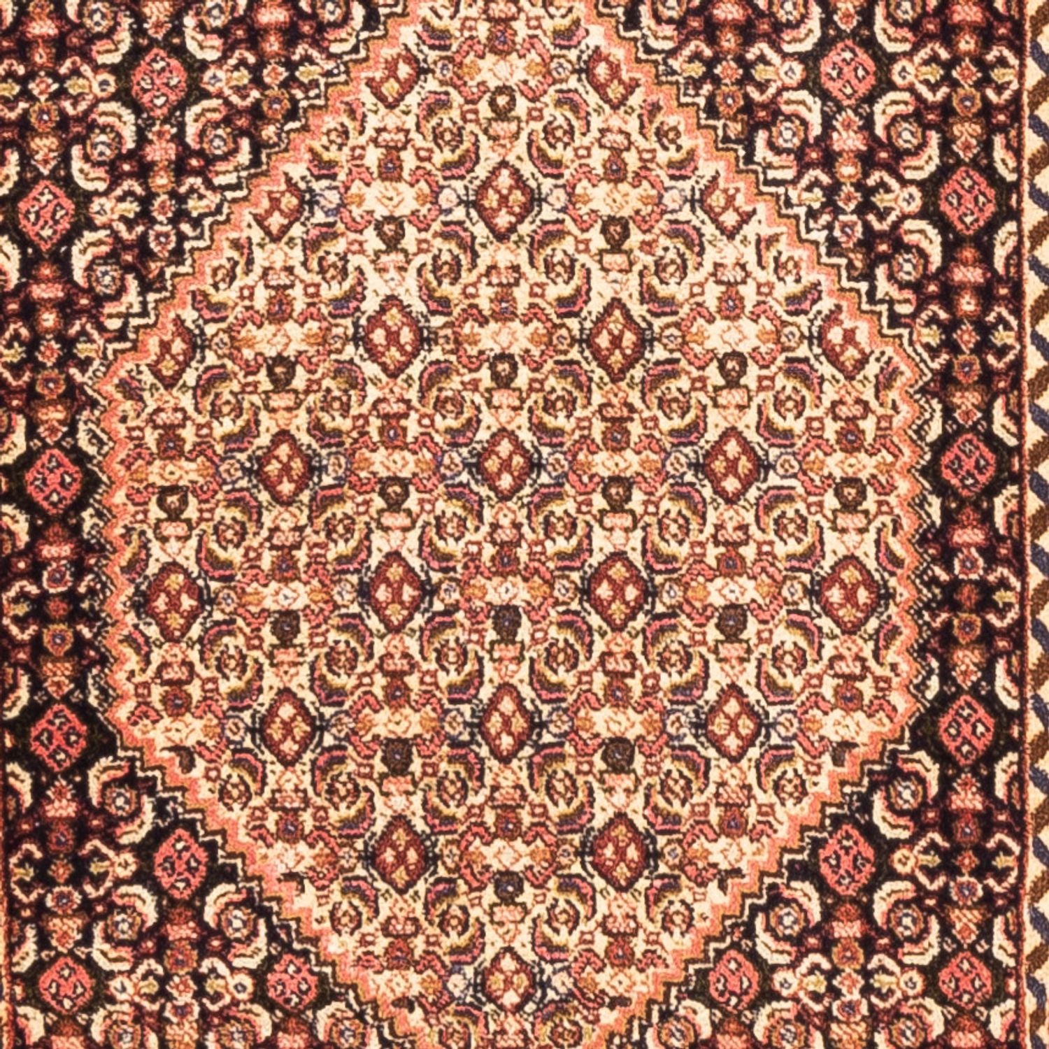Løber Persisk tæppe - Classic - 227 x 70 cm - mørk beige