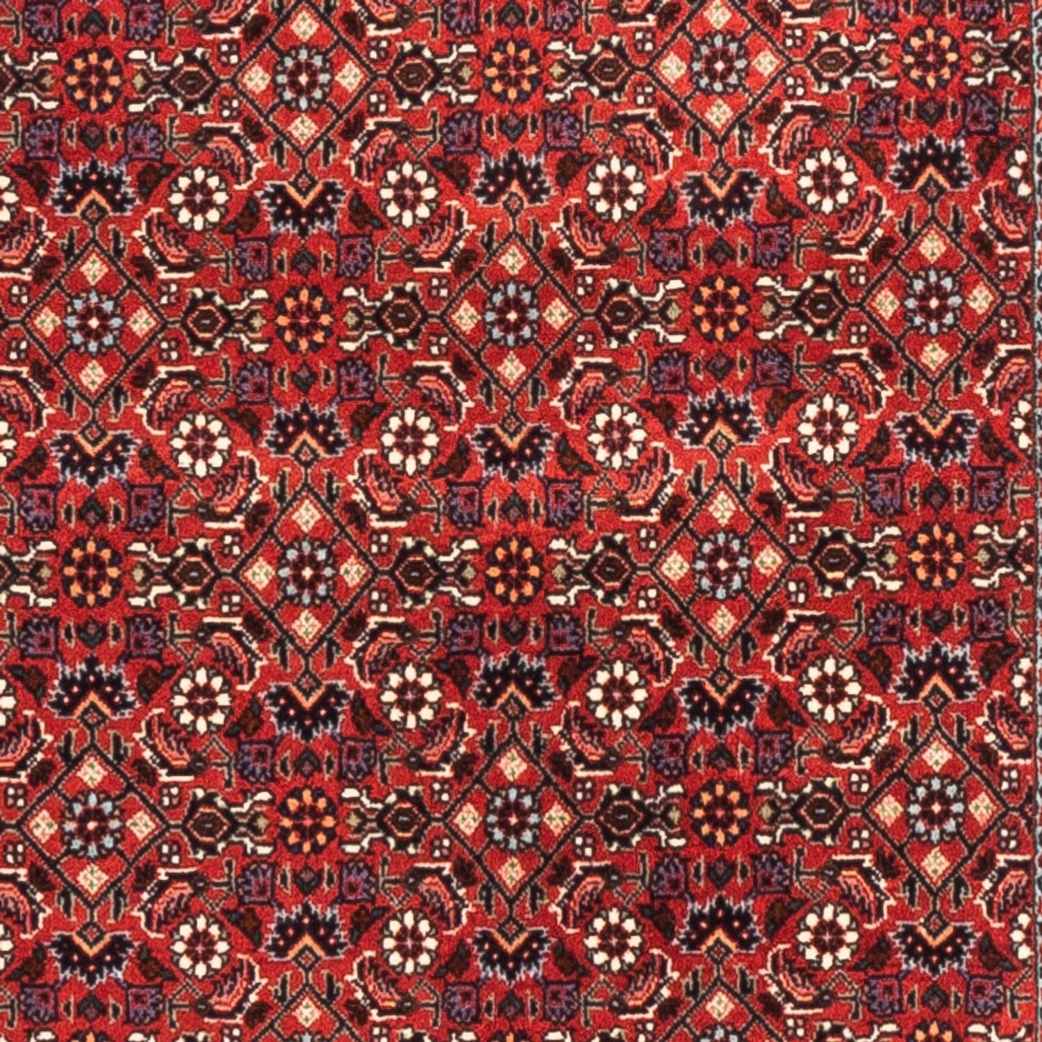 Løber Persisk tæppe - Bijar - 192 x 75 cm - rød