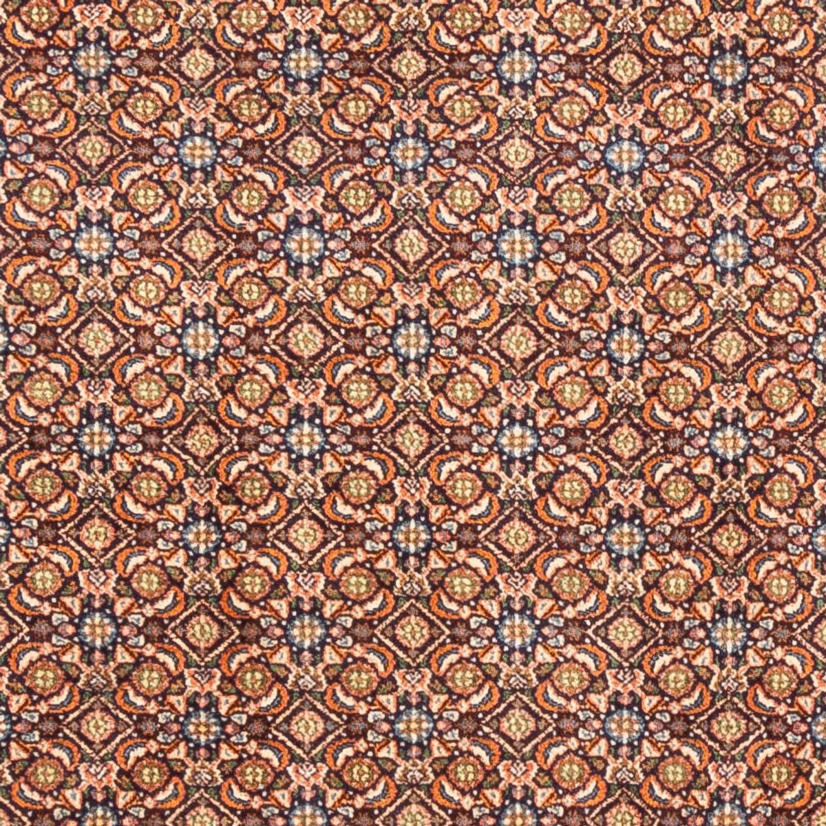 Persisk tæppe - Classic - 247 x 193 cm - mørk beige