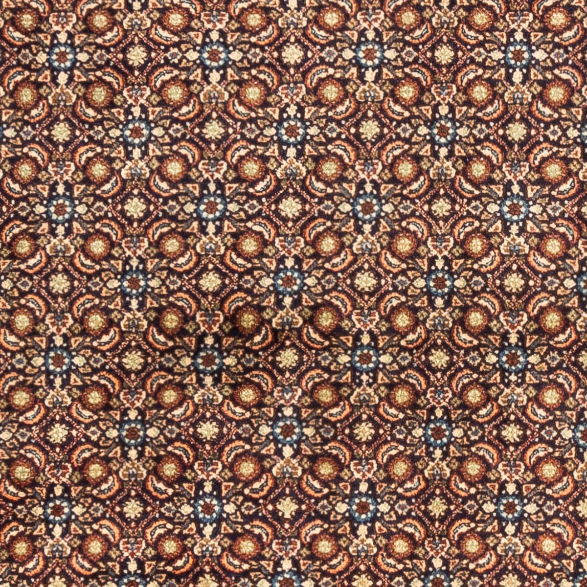 Persisk tæppe - Classic - 240 x 197 cm - mørk beige