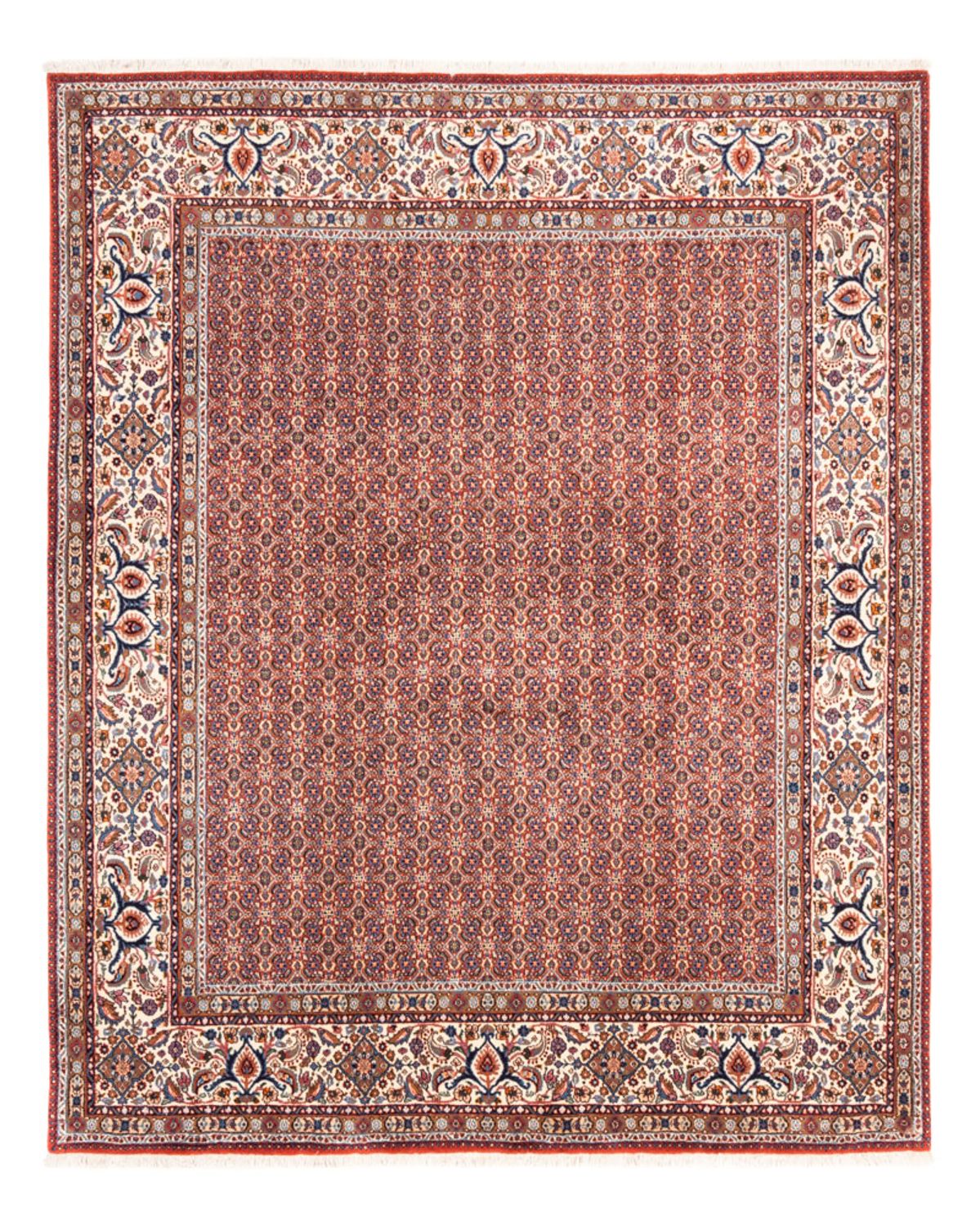 Persisk tæppe - Classic - 247 x 202 cm - lysrød