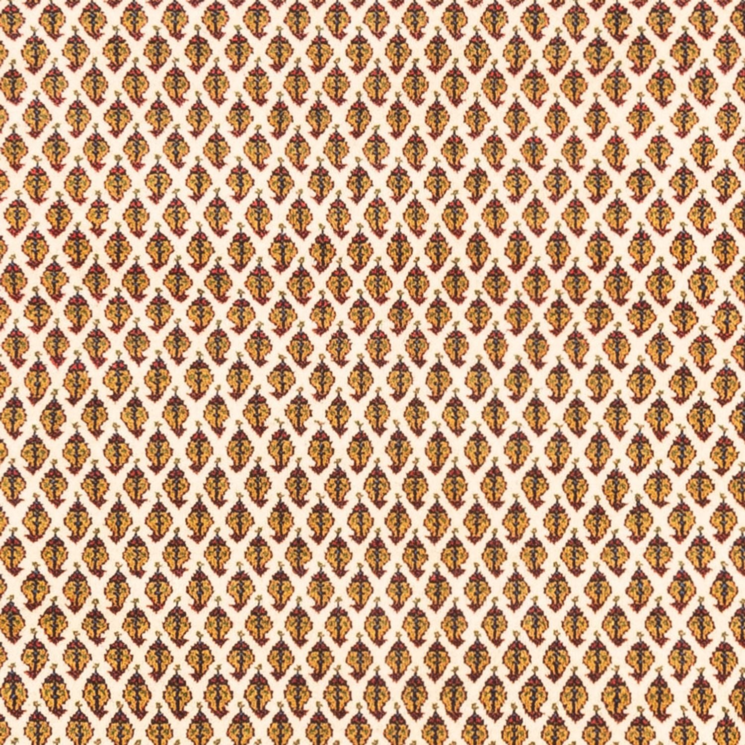 Persisk tæppe - Mir - 266 x 212 cm - lys beige