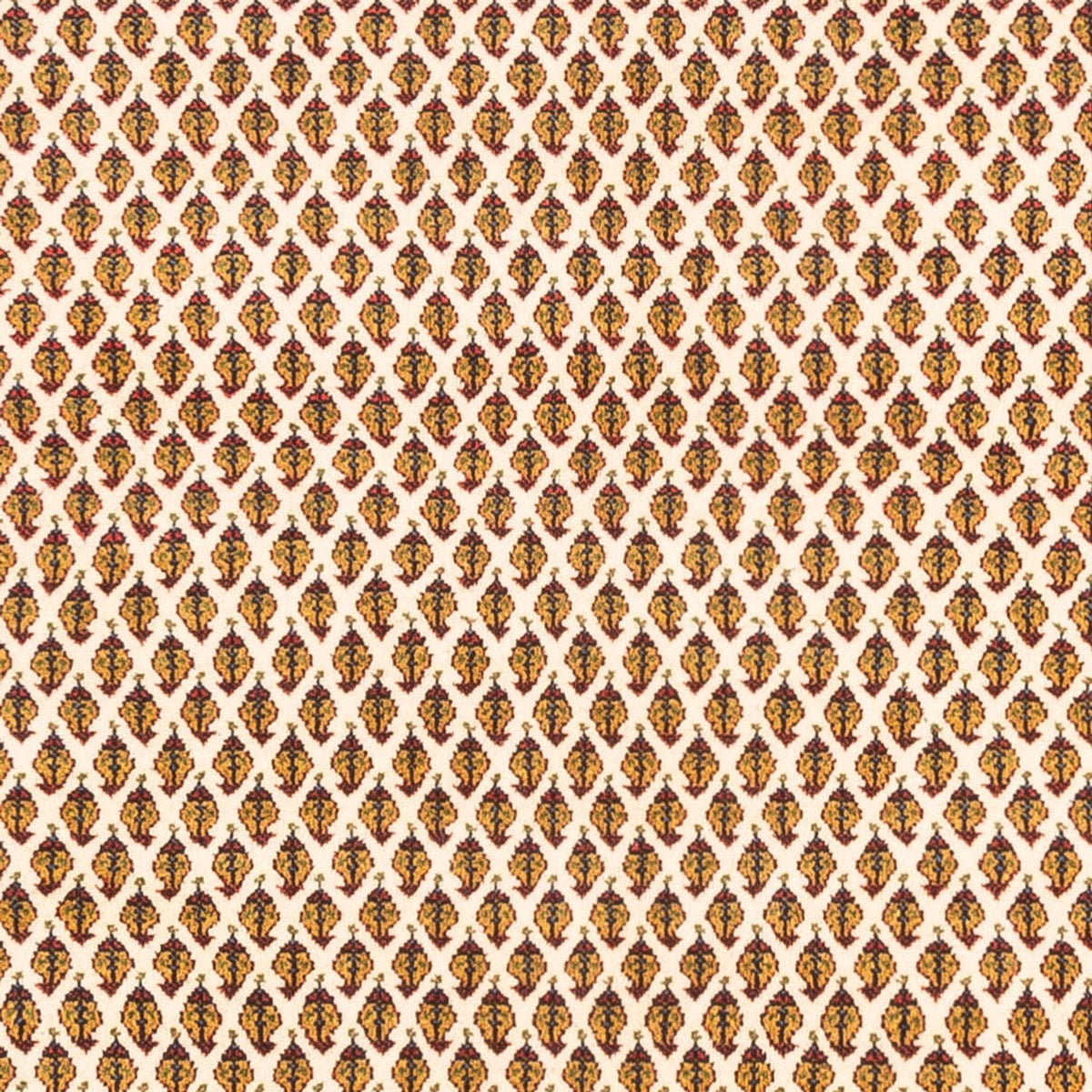 Persisk tæppe - Mir - 266 x 212 cm - lys beige