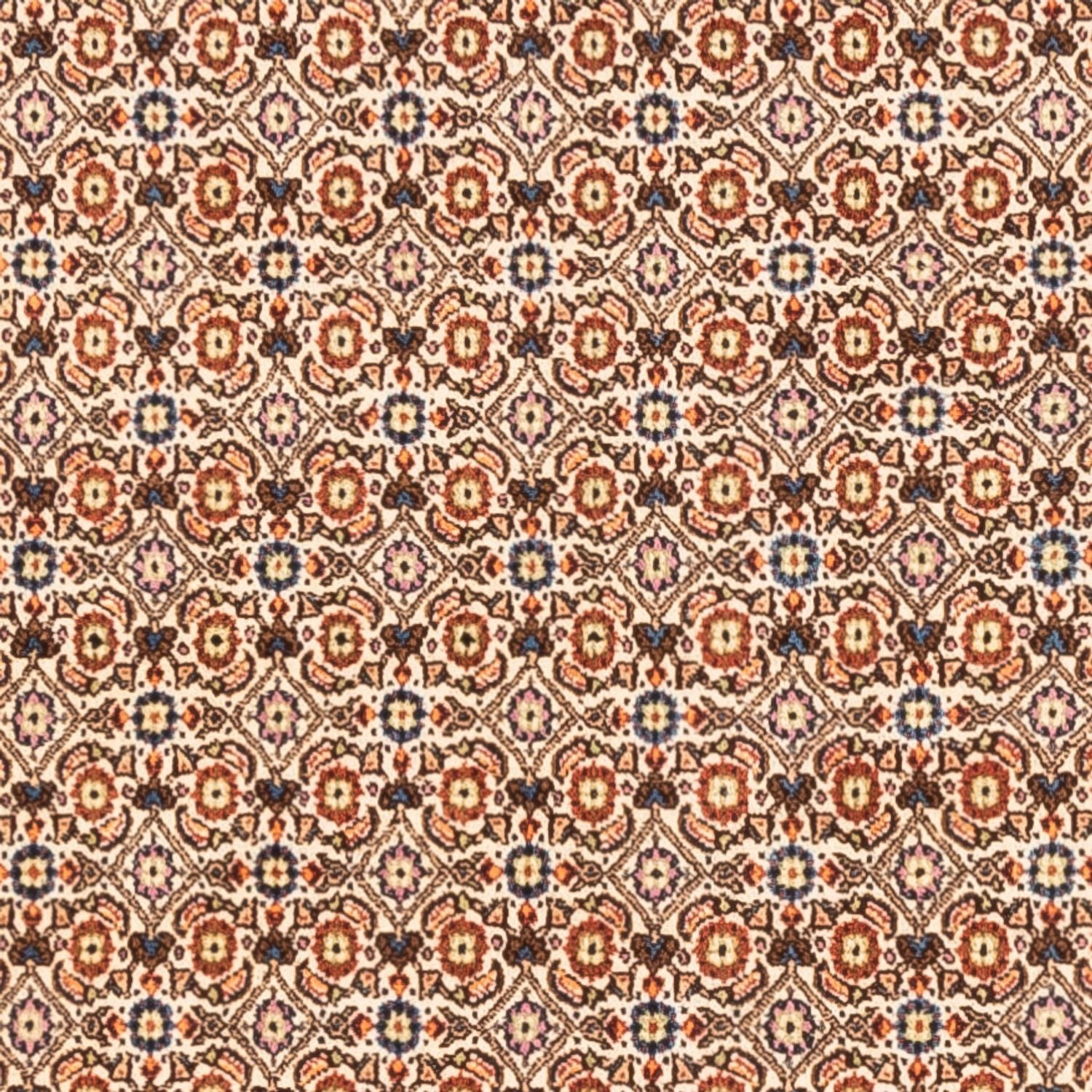 Persisk tæppe - Classic - 250 x 195 cm - mørk beige
