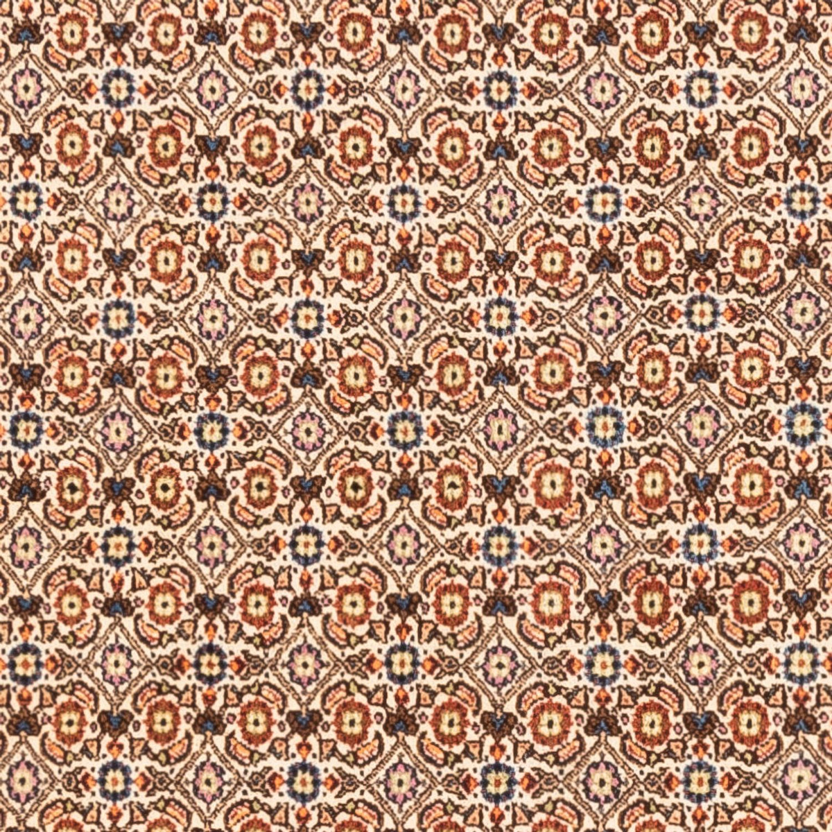Persisk tæppe - Classic - 250 x 195 cm - mørk beige