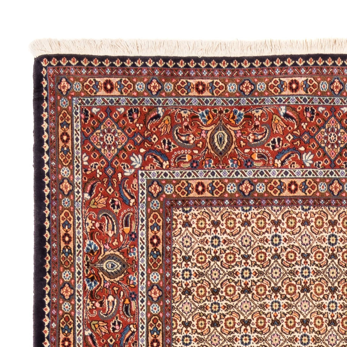 Persisk tæppe - Classic - 250 x 195 cm - mørk beige