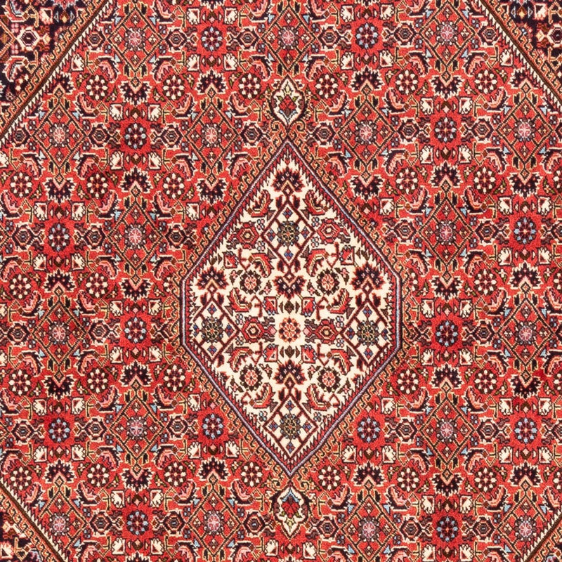 Persisk tæppe - Bijar - Royal - 232 x 171 cm - rød