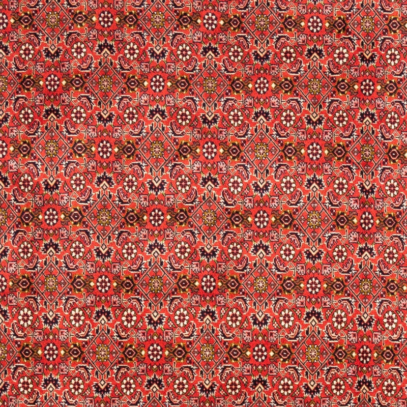 Persisk tæppe - Bijar - Royal - 242 x 168 cm - rød