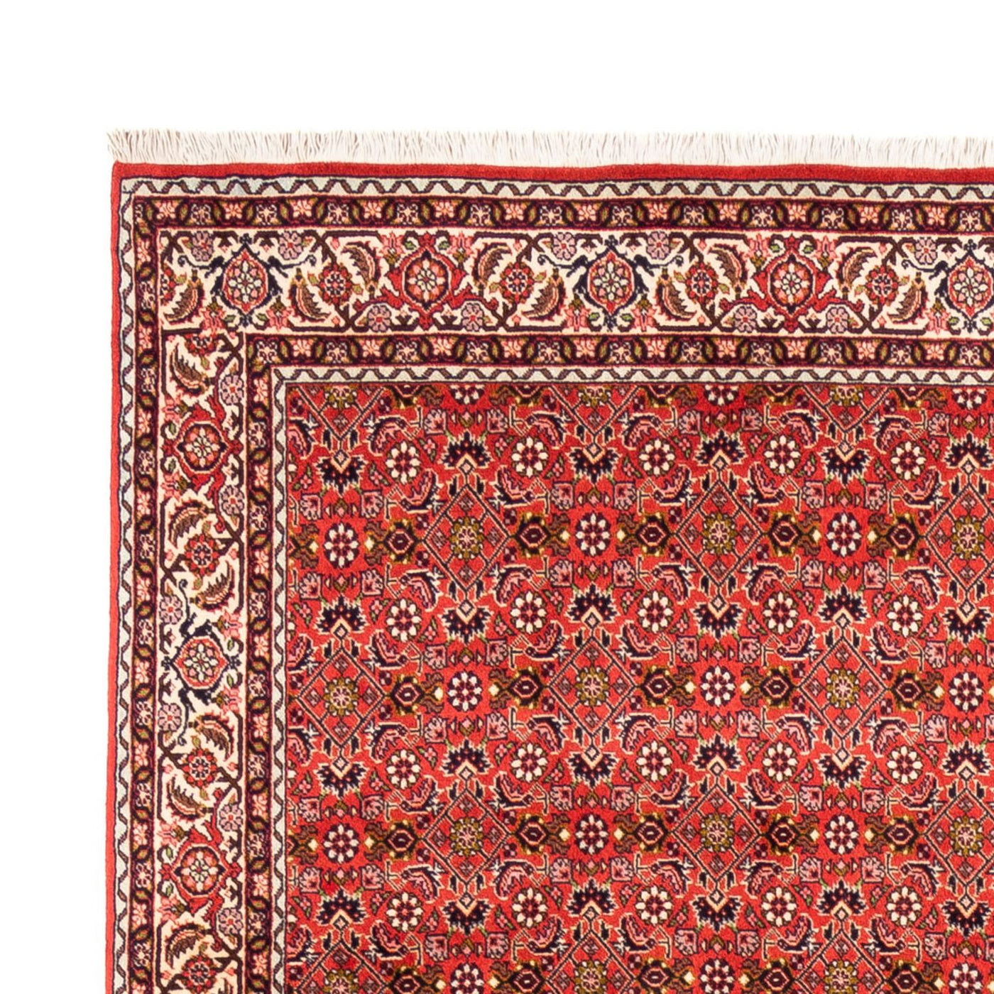 Bidjar - Bukan Tæppe 242x168cm - Persisk tæppe