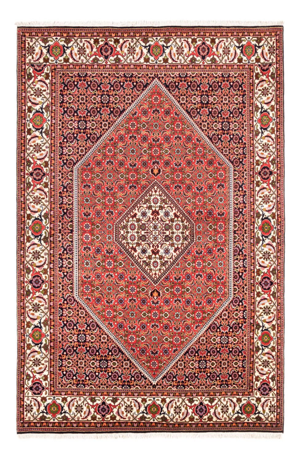 Persisk tæppe - Bijar - Royal - 247 x 168 cm - rød
