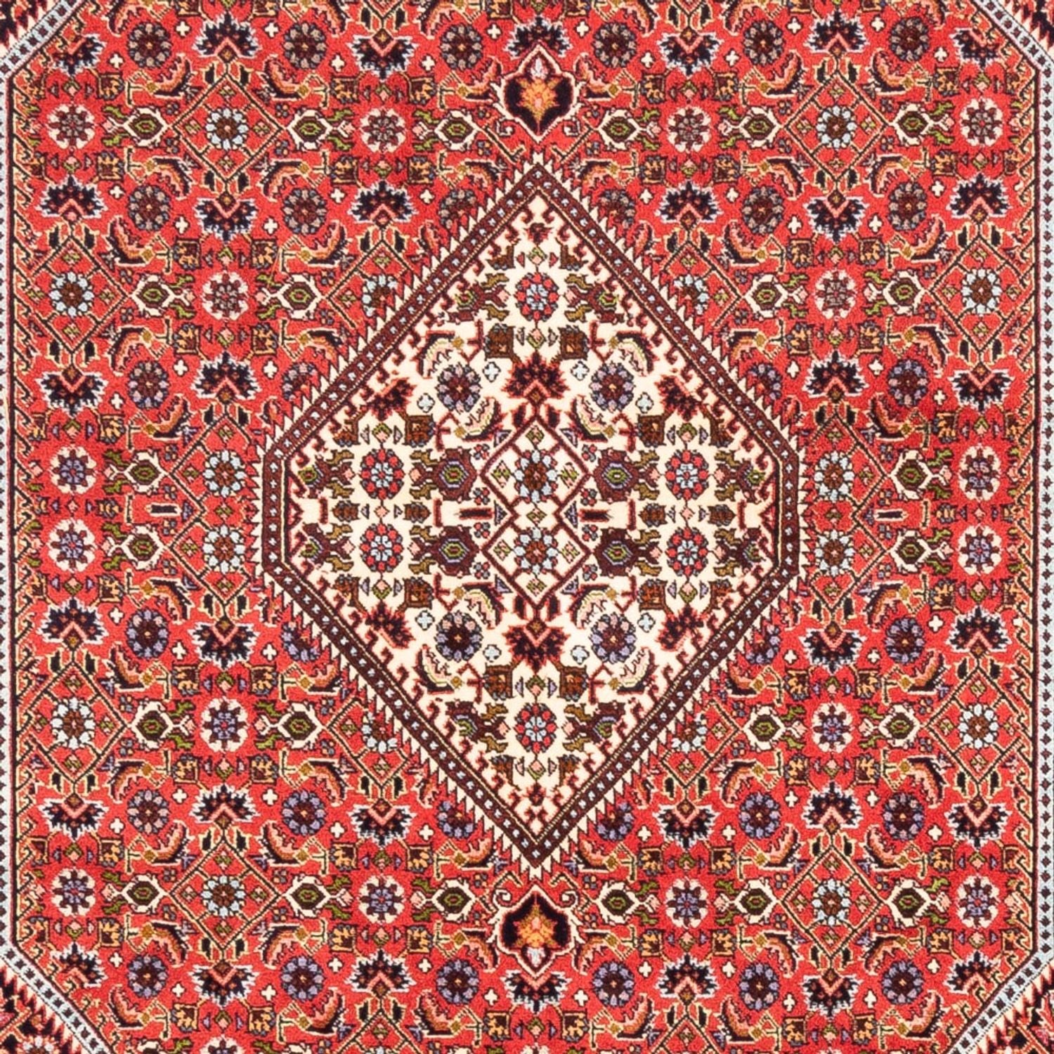 Persisk tæppe - Bijar - Royal - 247 x 168 cm - rød