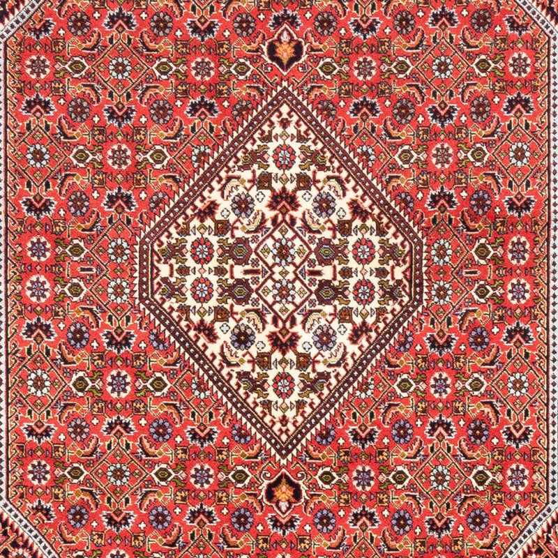 Persisk tæppe - Bijar - Royal - 247 x 168 cm - rød
