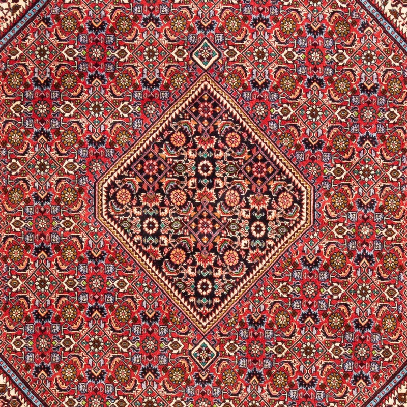 Persisk tæppe - Bijar - Royal - 247 x 171 cm - rød