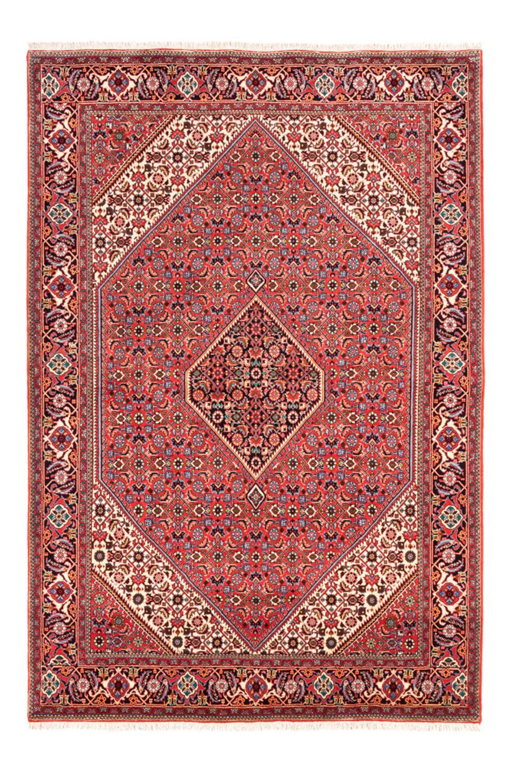 Persisk tæppe - Bijar - Royal - 245 x 170 cm - rød