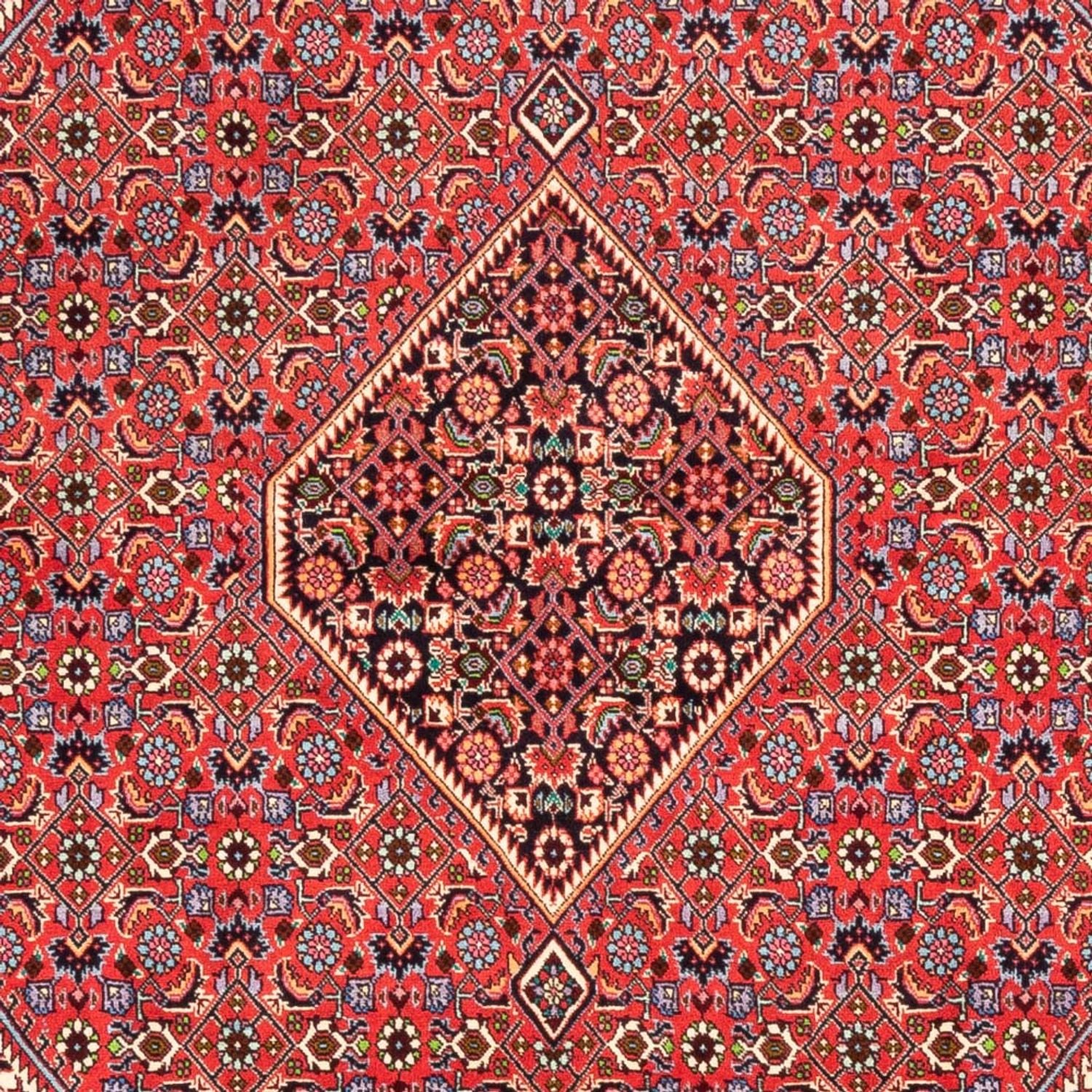 Persisk tæppe - Bijar - Royal - 245 x 170 cm - rød