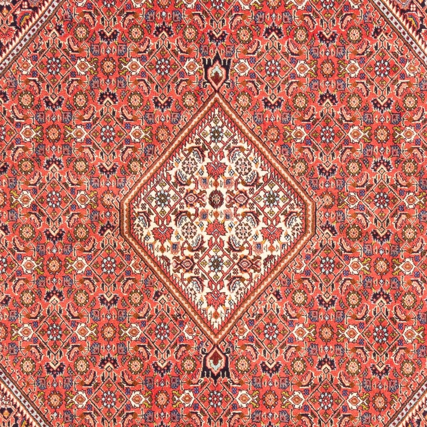 Persisk tæppe - Bijar - Royal - 244 x 168 cm - rød