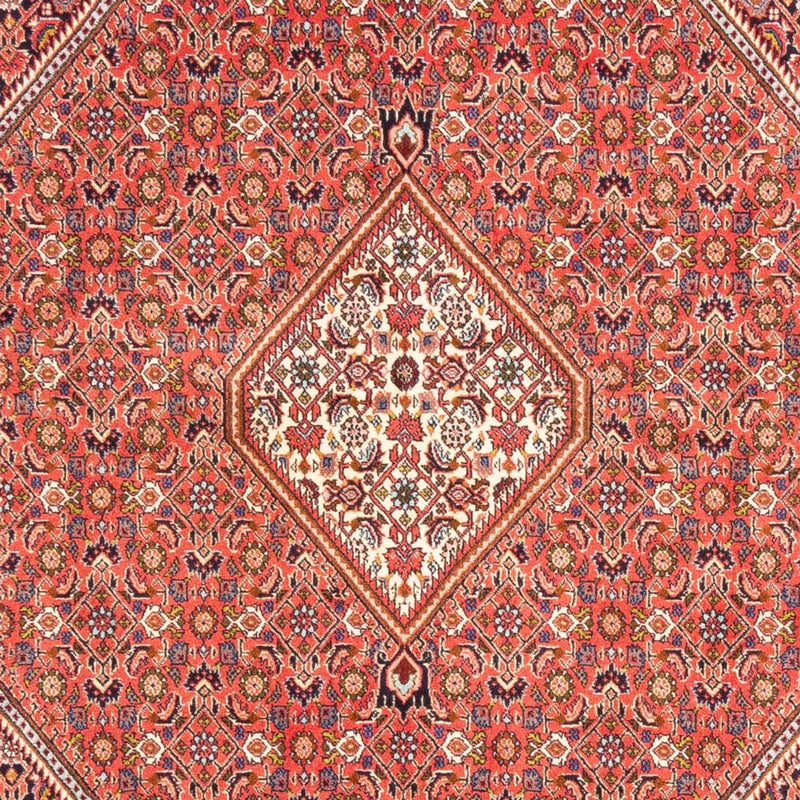 Persisk tæppe - Bijar - Royal - 244 x 168 cm - rød