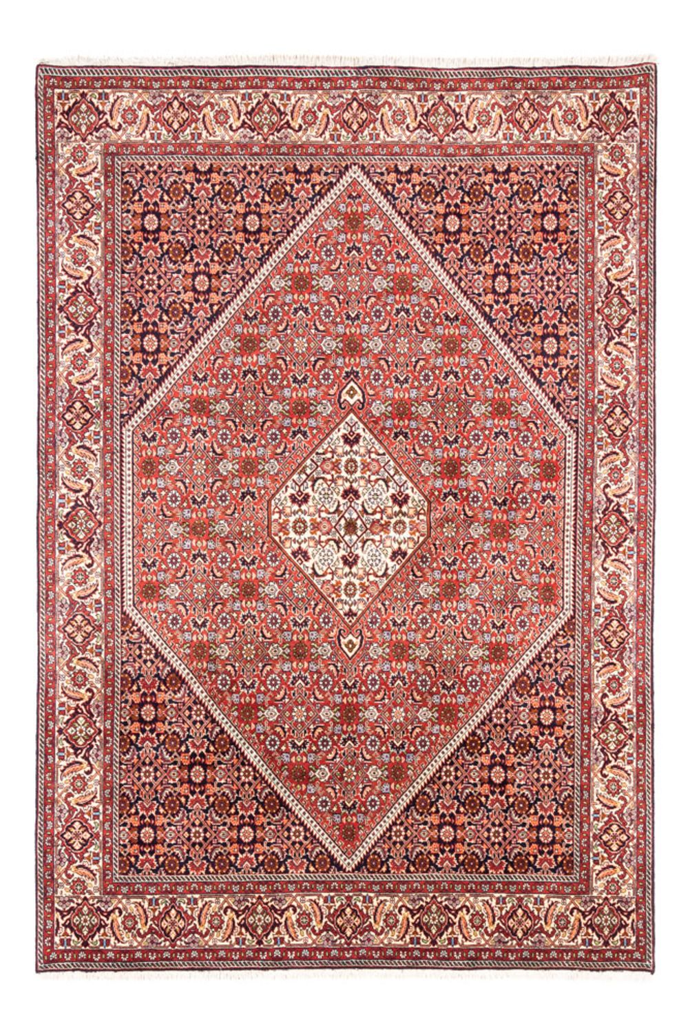 Persisk tæppe - Bijar - Royal - 240 x 168 cm - rød
