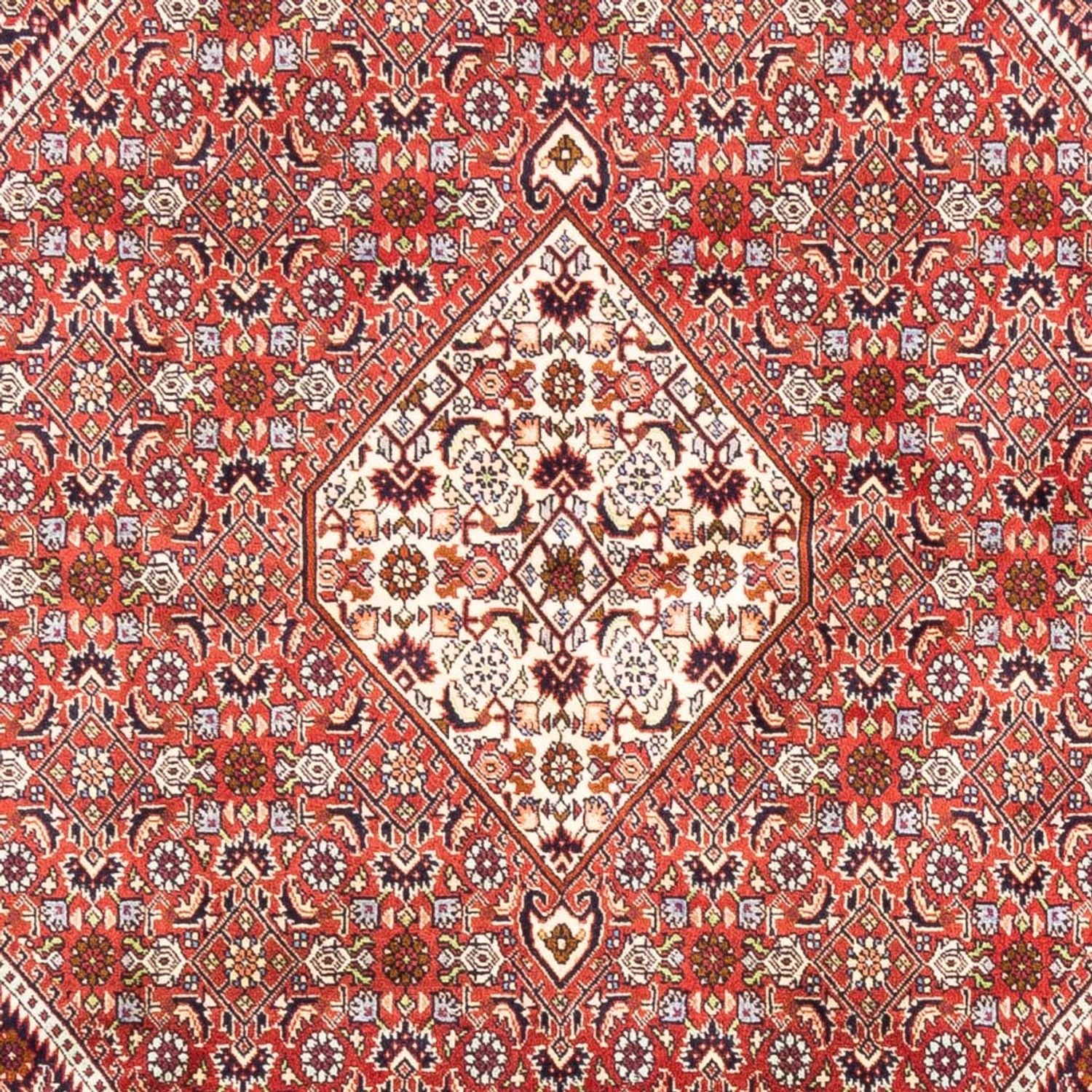 Persisk tæppe - Bijar - Royal - 240 x 168 cm - rød