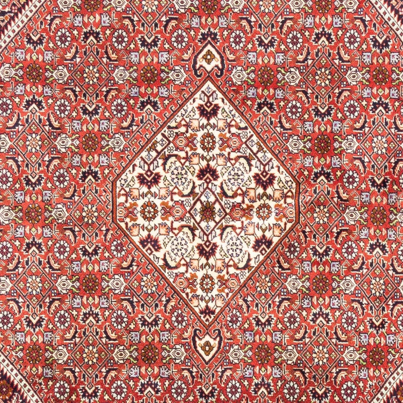 Persisk tæppe - Bijar - Royal - 240 x 168 cm - rød