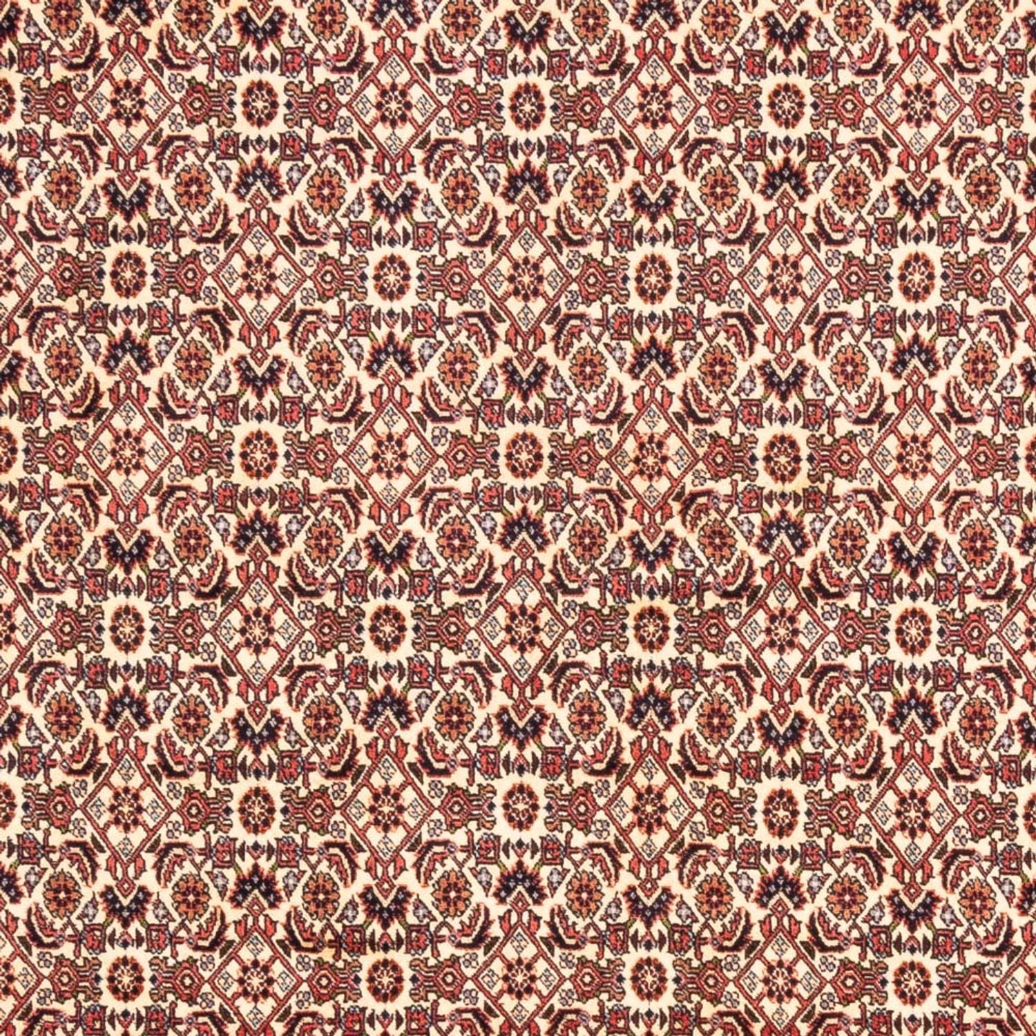 Persisk tæppe - Bijar - Royal - 244 x 166 cm - beige