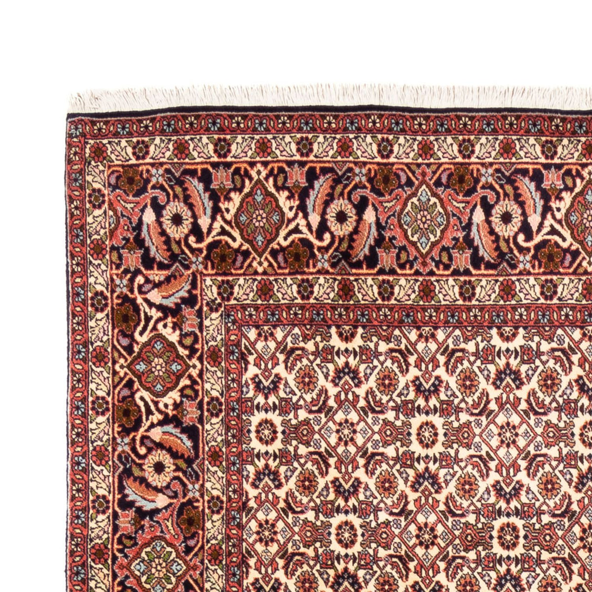 Persisk tæppe - Bijar - Royal - 244 x 166 cm - beige