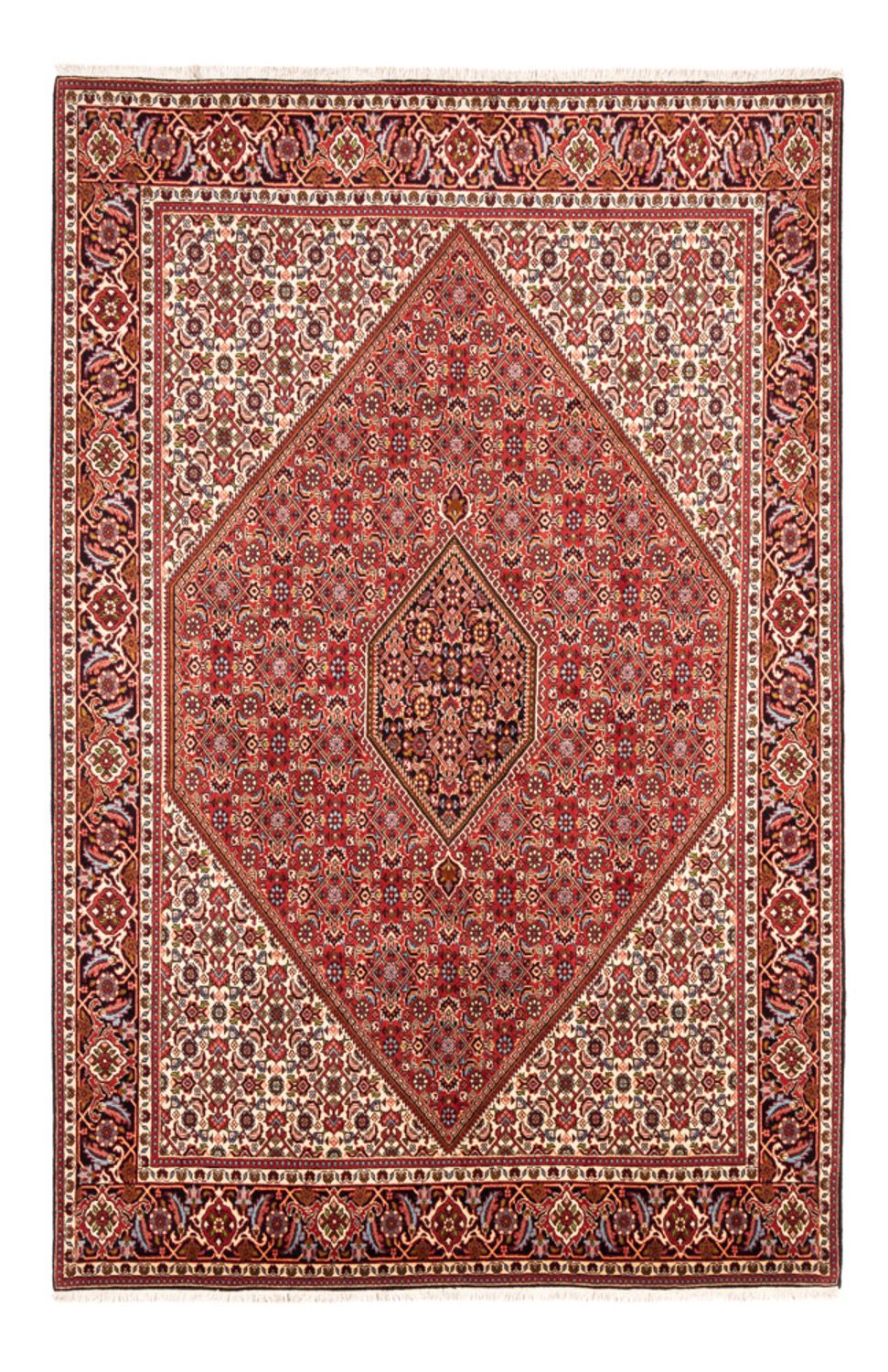 Persisk tæppe - Bijar - Royal - 247 x 172 cm - rød