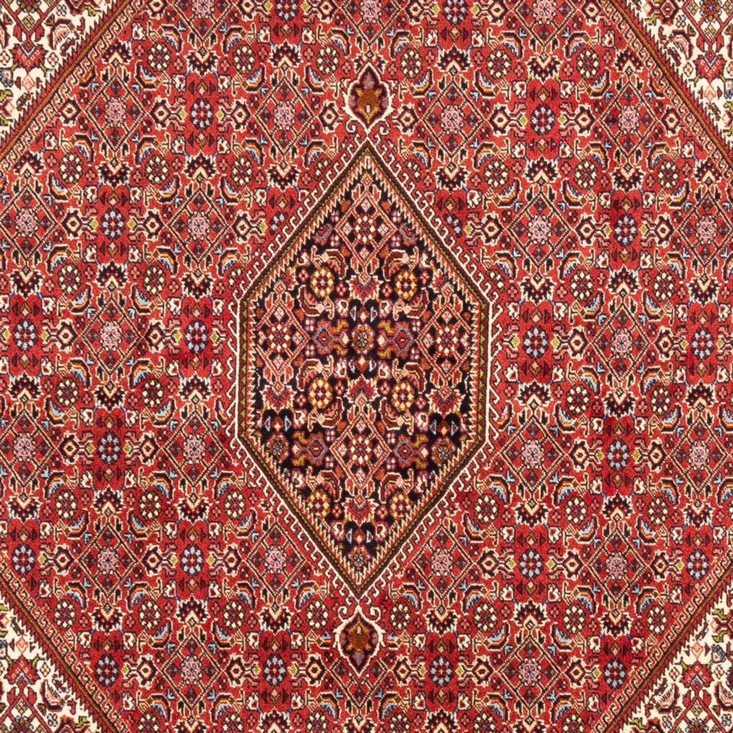 Persisk tæppe - Bijar - Royal - 247 x 172 cm - rød