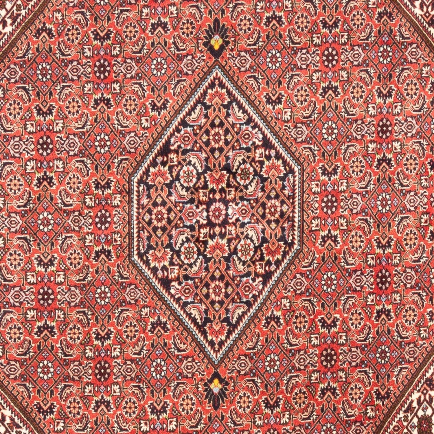 Persisk tæppe - Bijar - Royal - 247 x 173 cm - rød