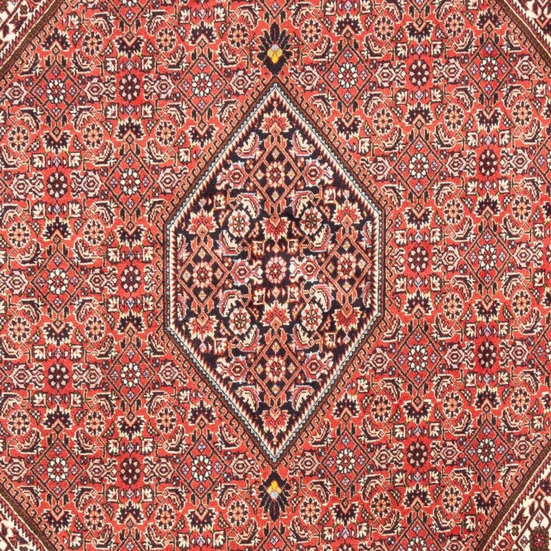 Persisk tæppe - Bijar - Royal - 247 x 173 cm - rød