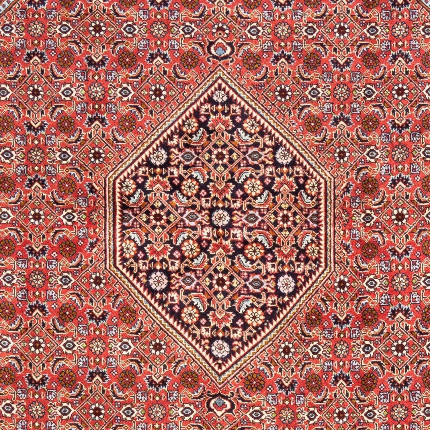 Persisk tæppe - Bijar - Royal - 248 x 171 cm - rød