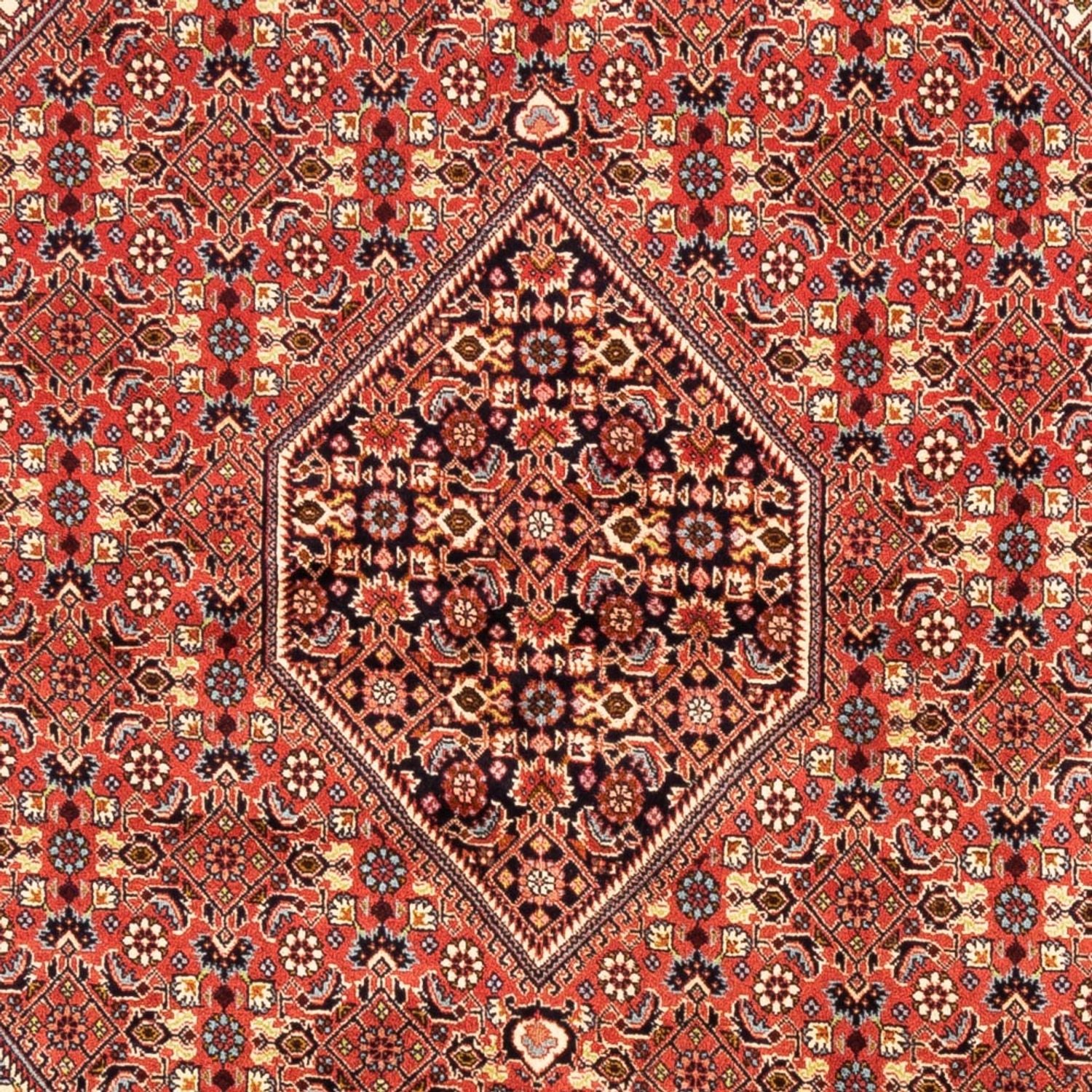 Persisk tæppe - Bijar - Royal - 246 x 171 cm - rød