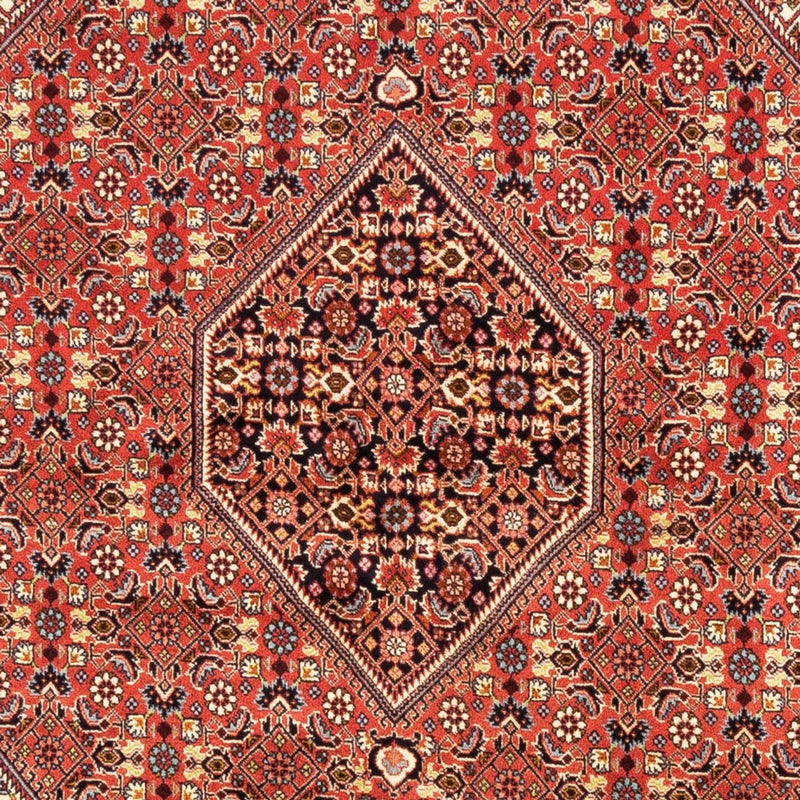 Persisk tæppe - Bijar - Royal - 246 x 171 cm - rød