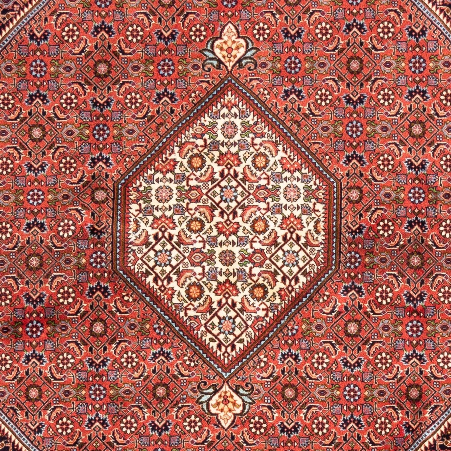 Persisk tæppe - Bijar - Royal - 240 x 173 cm - rød
