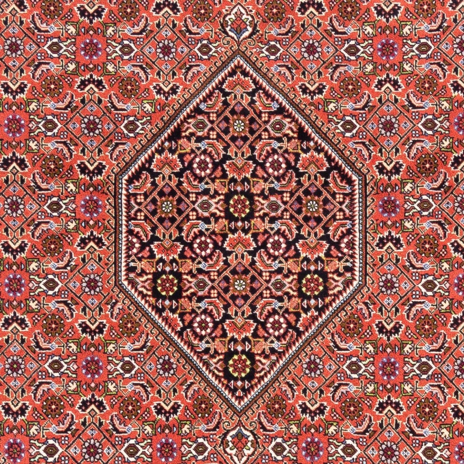 Persisk tæppe - Bijar - Royal - 250 x 170 cm - rød
