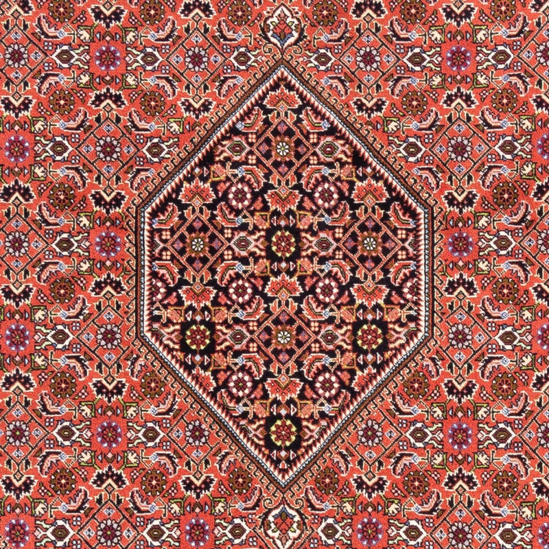 Persisk tæppe - Bijar - Royal - 250 x 170 cm - rød