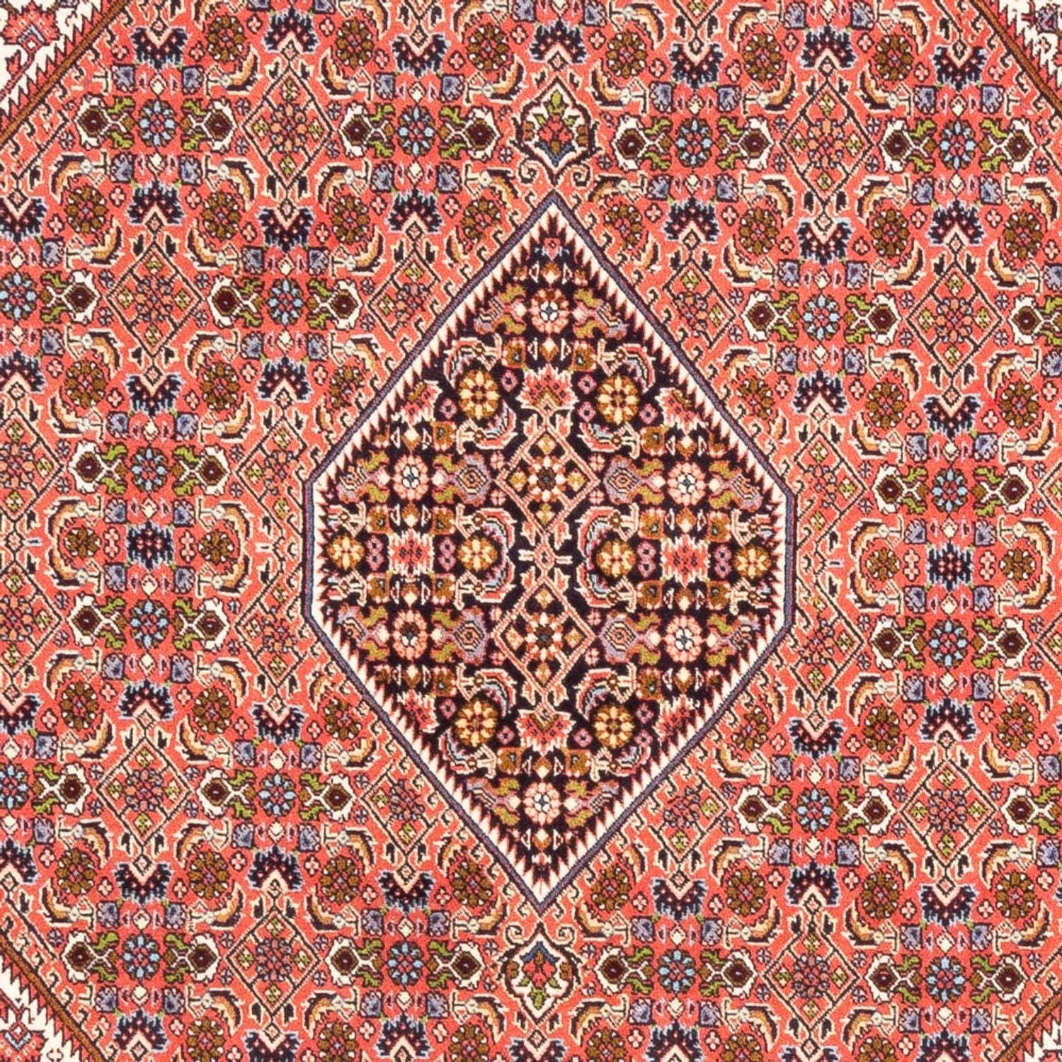 Persisk tæppe - Bijar - Royal - 247 x 172 cm - rød
