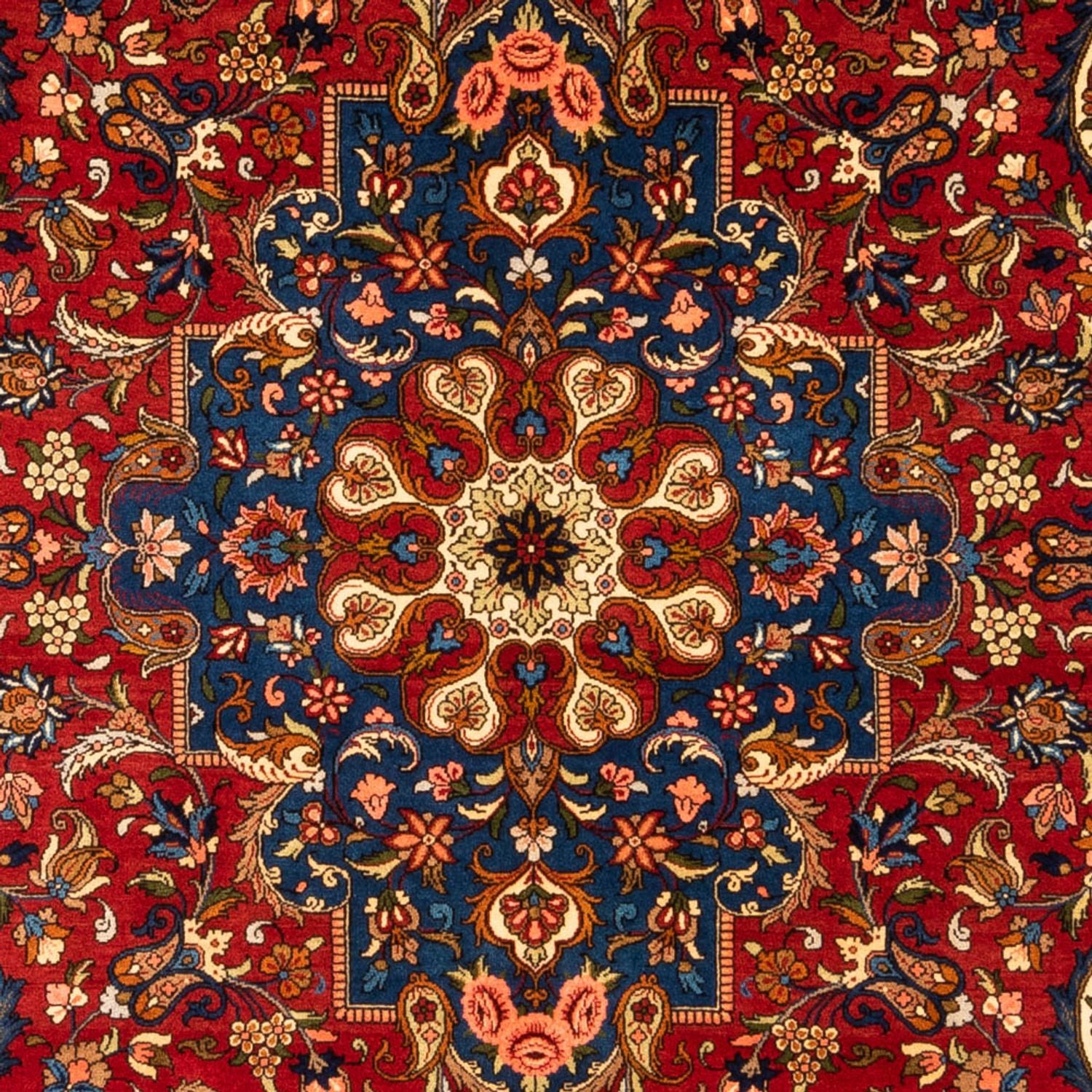 Persisk tæppe - Bijar - Royal - 296 x 204 cm - mørkeblå