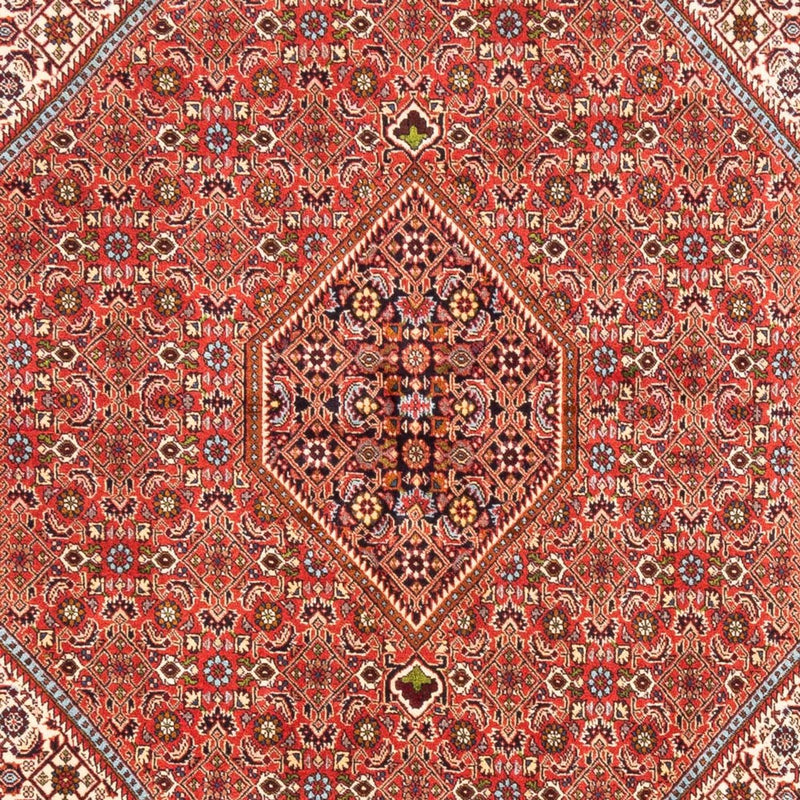 Persisk tæppe - Bijar - 253 x 168 cm - rød