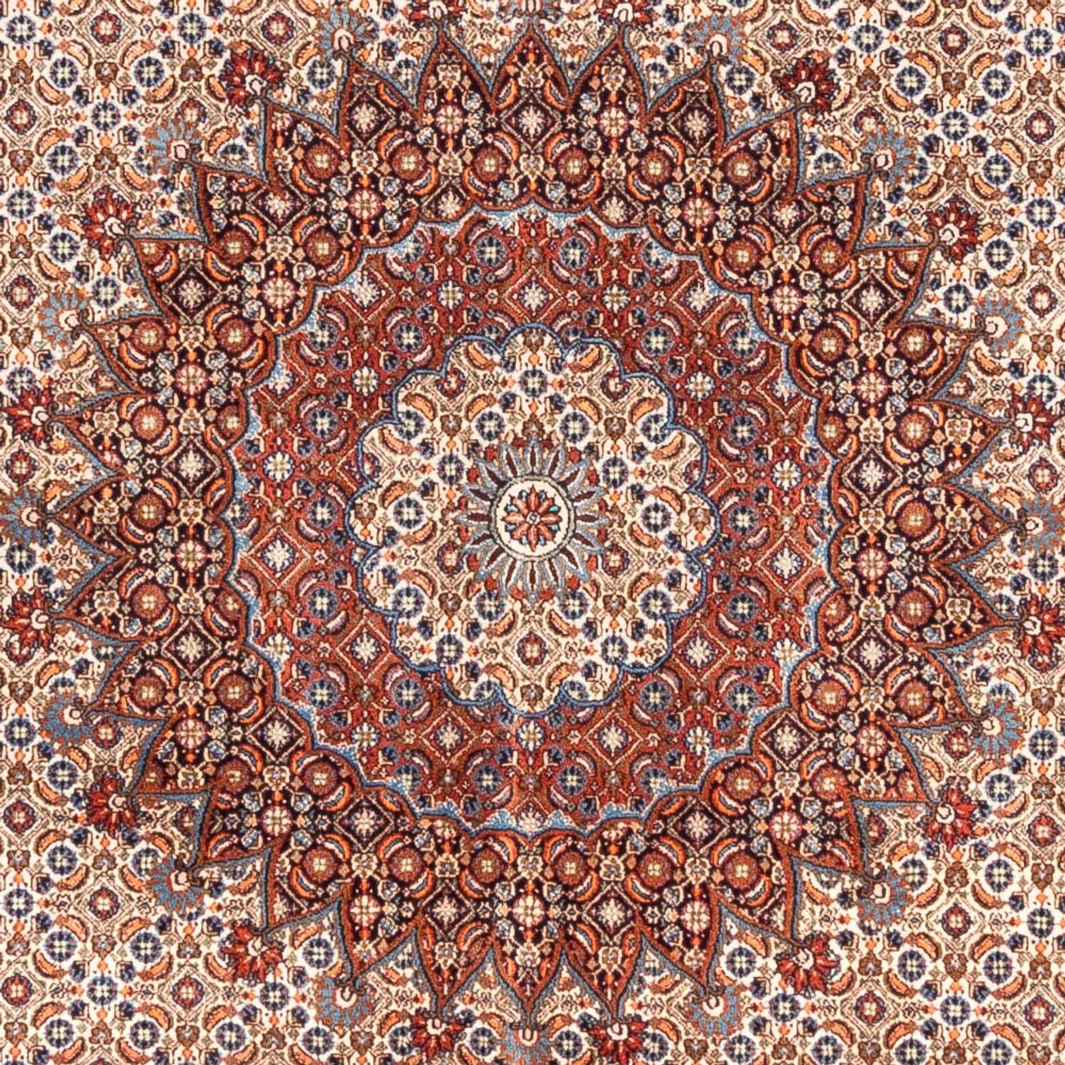 Persisk tæppe - Classic - 290 x 200 cm - beige