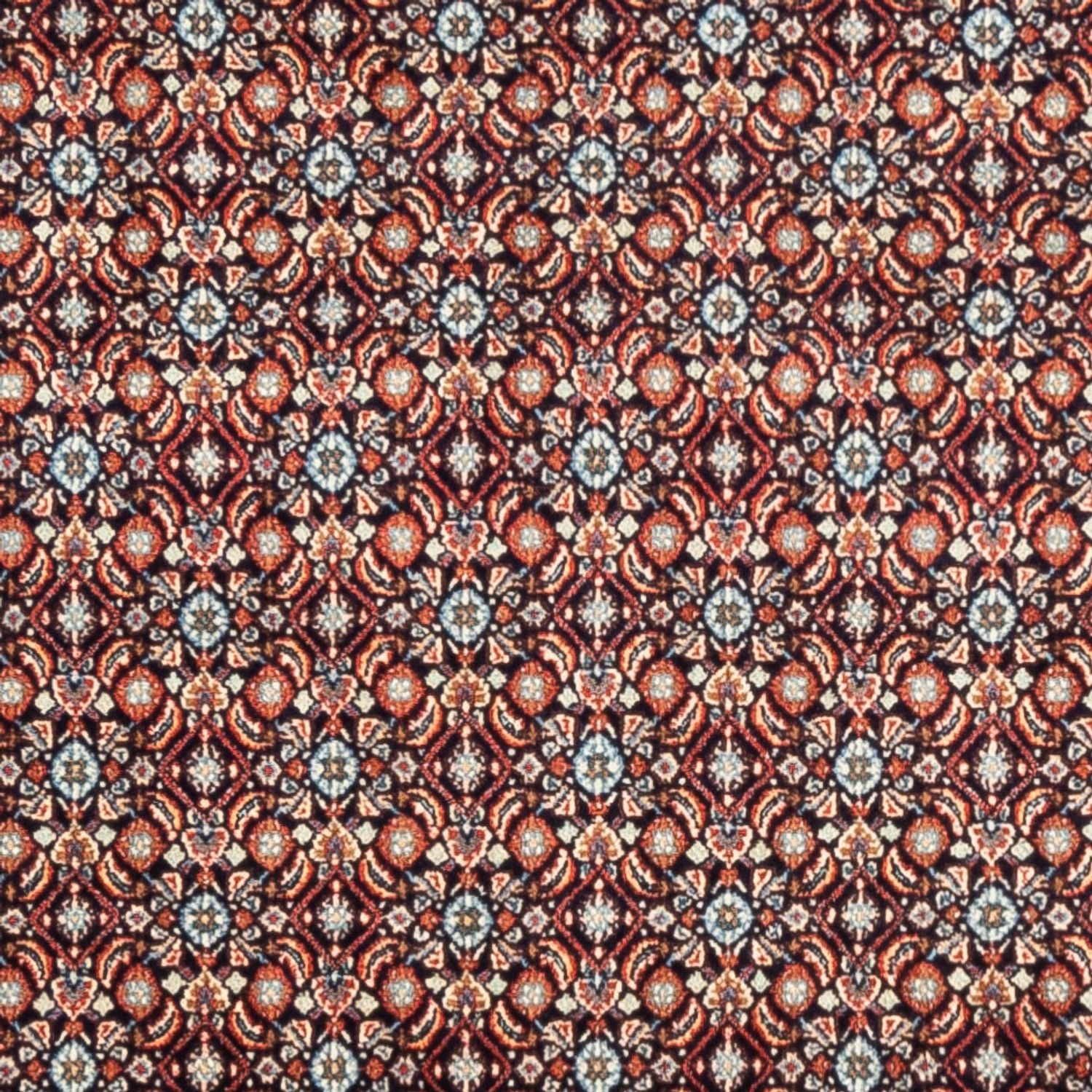 Persisk tæppe - Classic - 244 x 197 cm - mørk beige