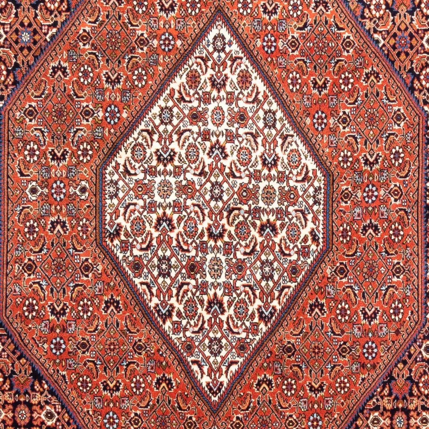 Persisk tæppe - Bijar - 240 x 170 cm - rød